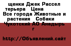 щенки Джек Рассел терьера › Цена ­ 27 000 - Все города Животные и растения » Собаки   . Чукотский АО,Анадырь г.